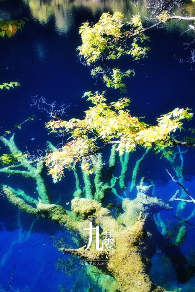崩溃大陆