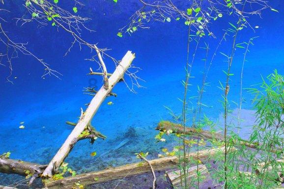 芜湖六企业入选国家级绿色工厂