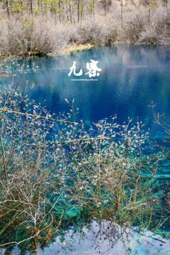 易币付游戏画面